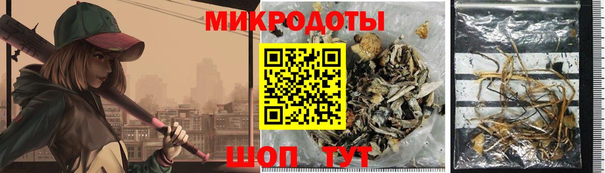 Псилоцибиновые грибы GOLDEN TEACHER Новосибирск