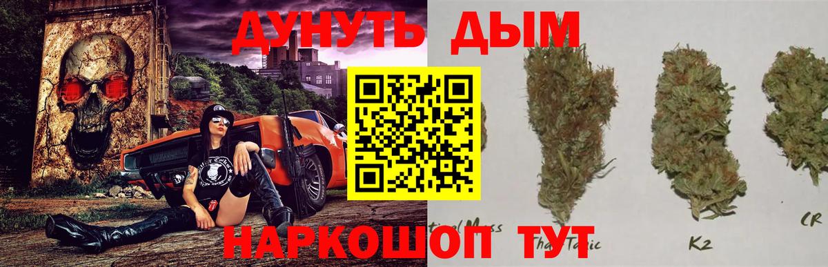 Новосибирск  Марихуана VHQ  Шишки марихуана OG Kush  Вход с VPN  МАРИХУАНА планчик  Шишки марихуана сатива 